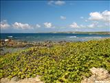 Punta Galindez - VIEQUES
